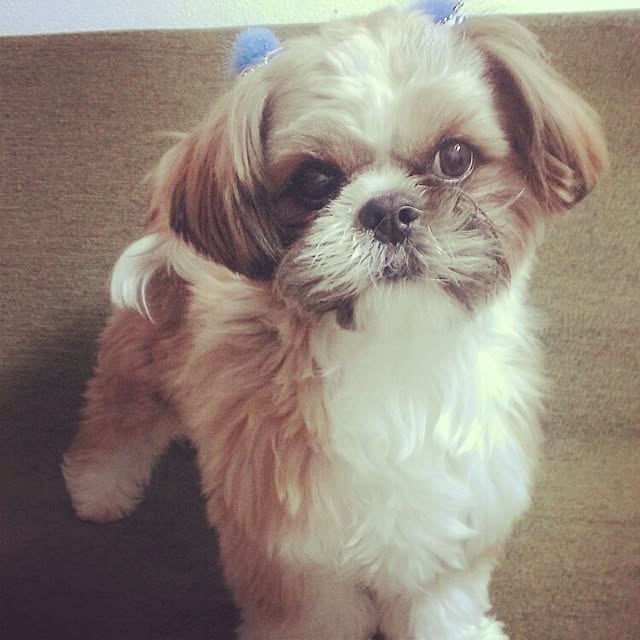 pixyさんの実例写真