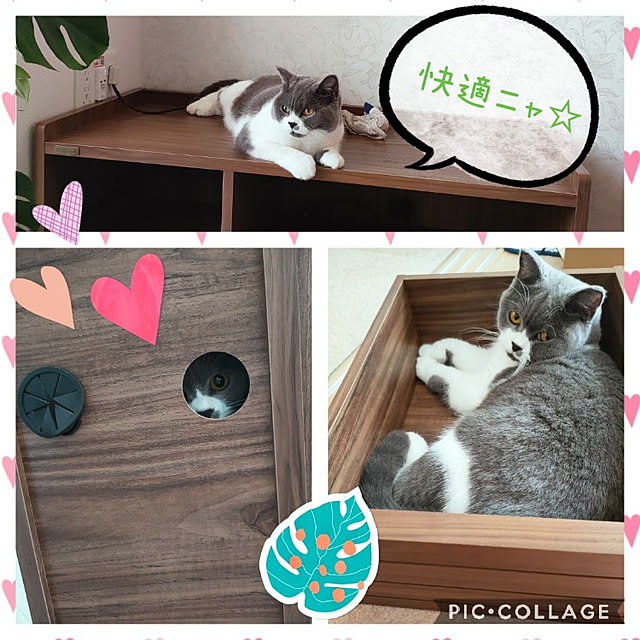KEIKOさんの実例写真