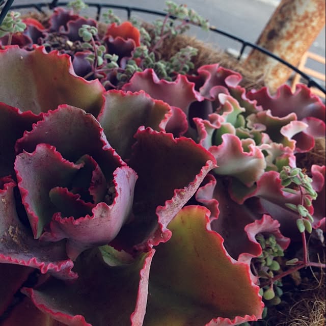 563kさんの実例写真