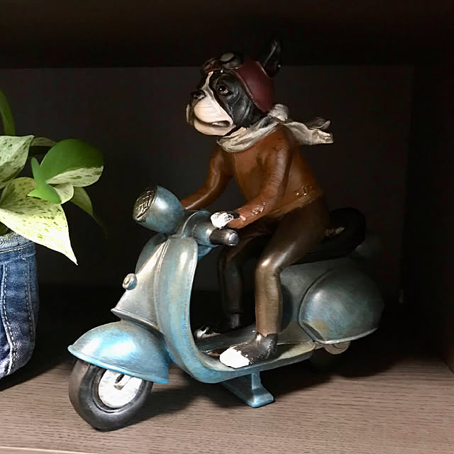 Riku2009さんの部屋