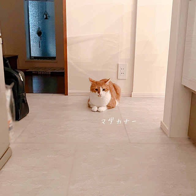 mako2yaさんの部屋
