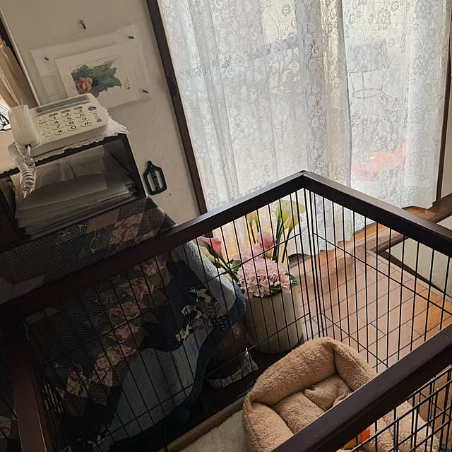 mamizaさんの部屋