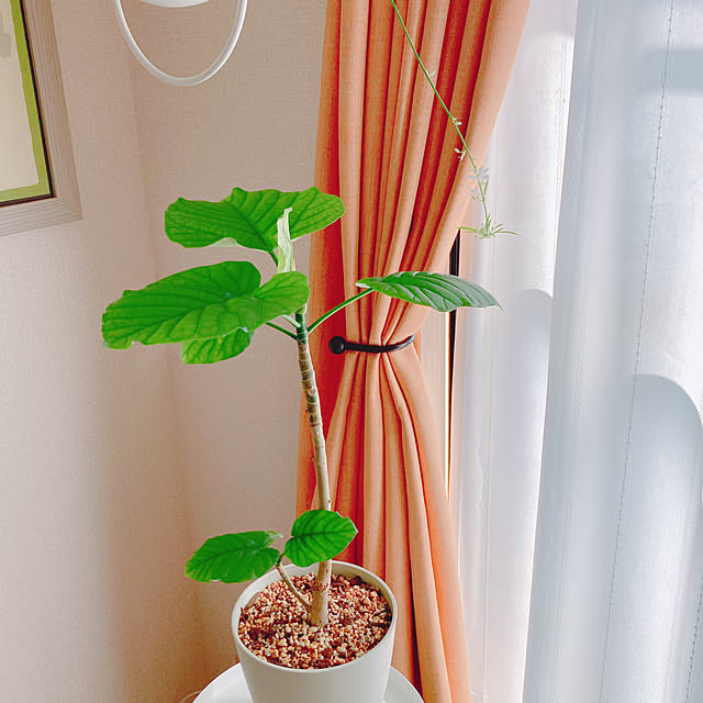 yuyuさんの部屋