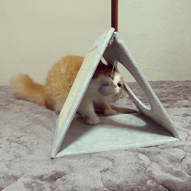 junさんの部屋