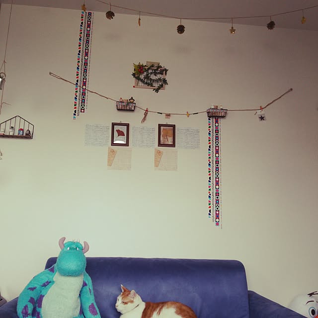 porinさんの実例写真
