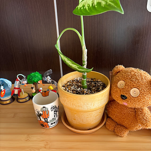 PENHuiさんの実例写真