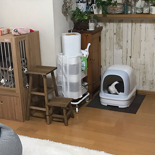 Akiさんの実例写真