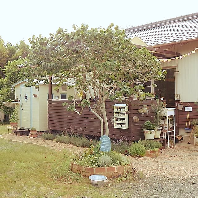 satomiさんの実例写真
