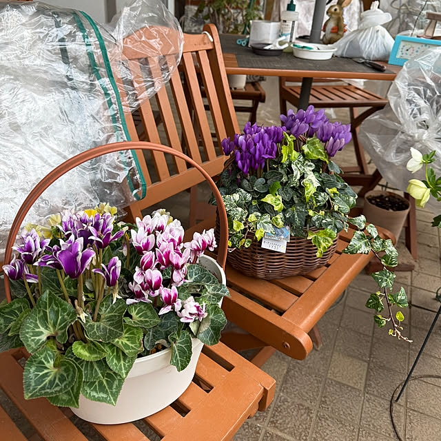 Aqettyさんの部屋