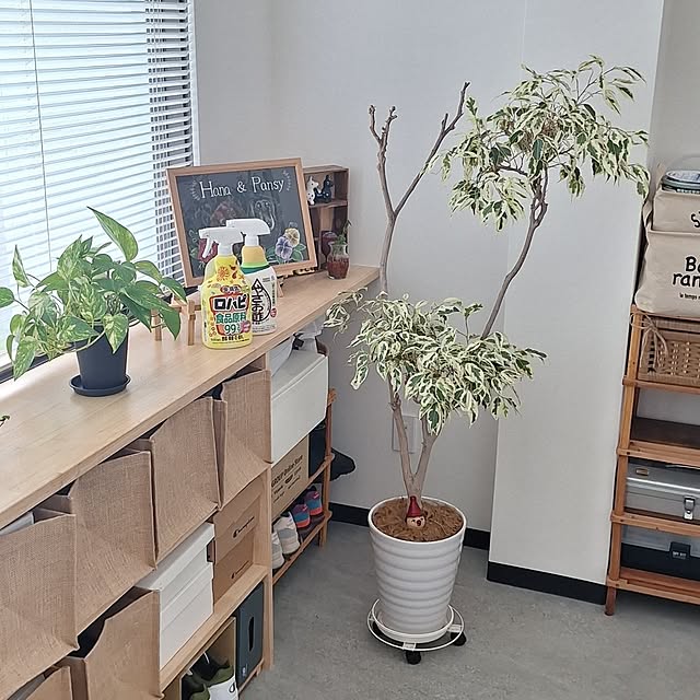 hanapanさんの実例写真