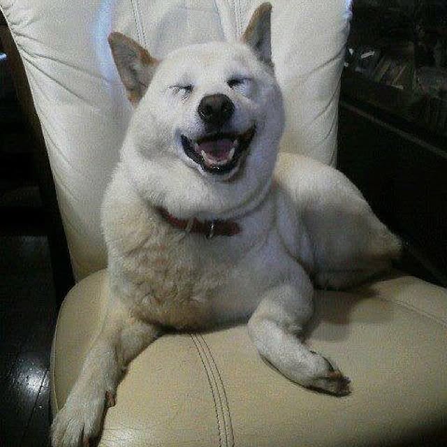 terumi.724さんの実例写真