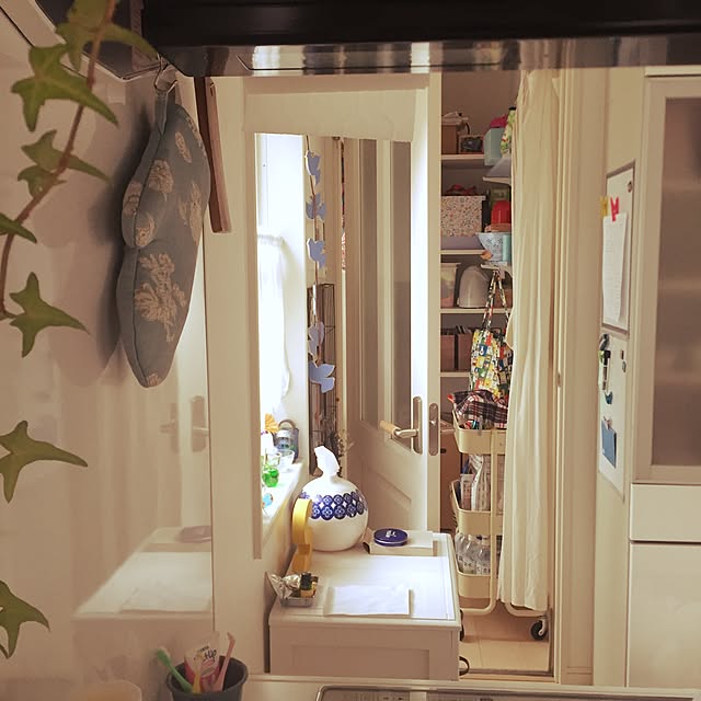 pariさんの実例写真
