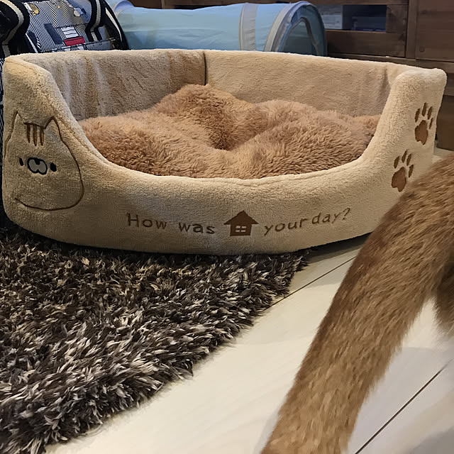 KotarouKunさんの実例写真