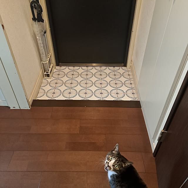 shinoさんの部屋