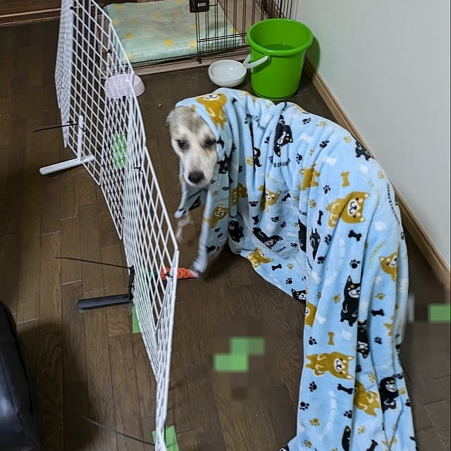 asaさんの部屋