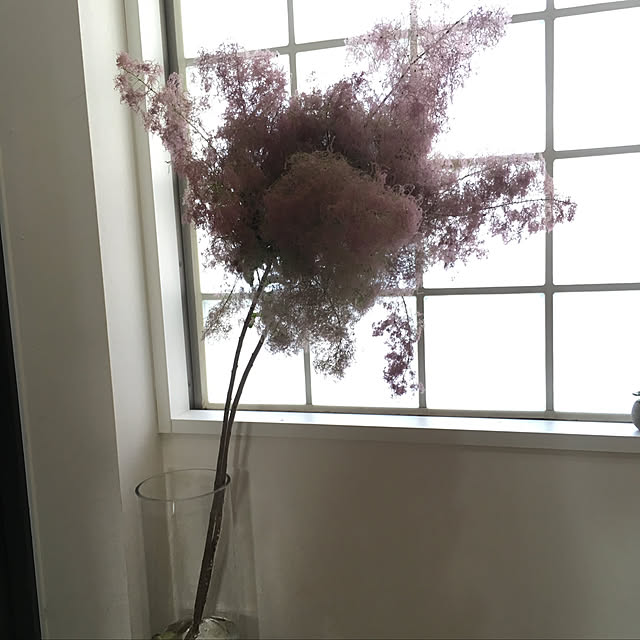 canacoさんの実例写真