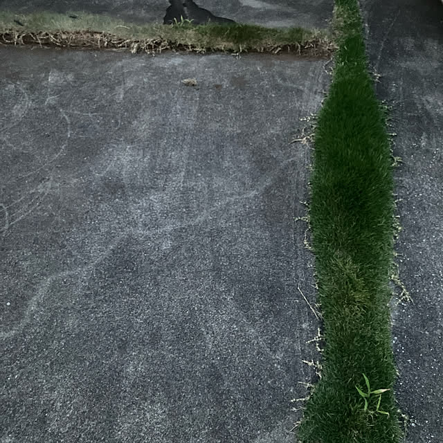 sachimさんの実例写真