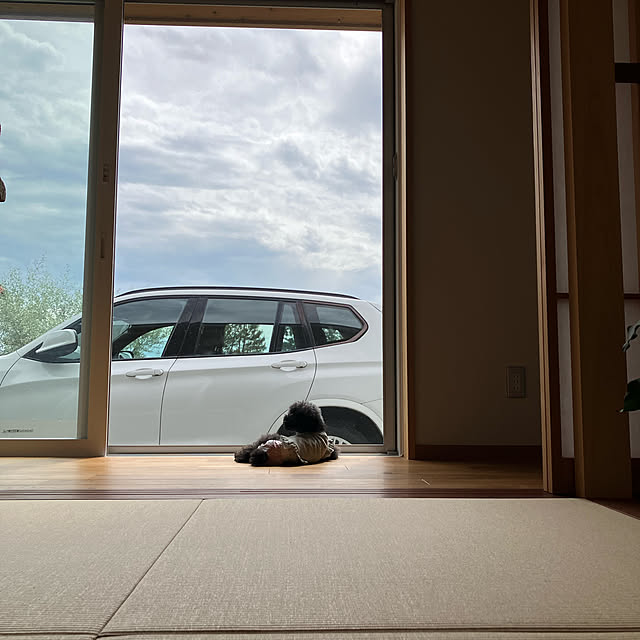 hira_muji_mihiさんの実例写真