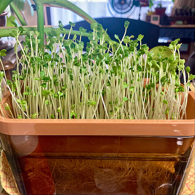 heidiさんの部屋