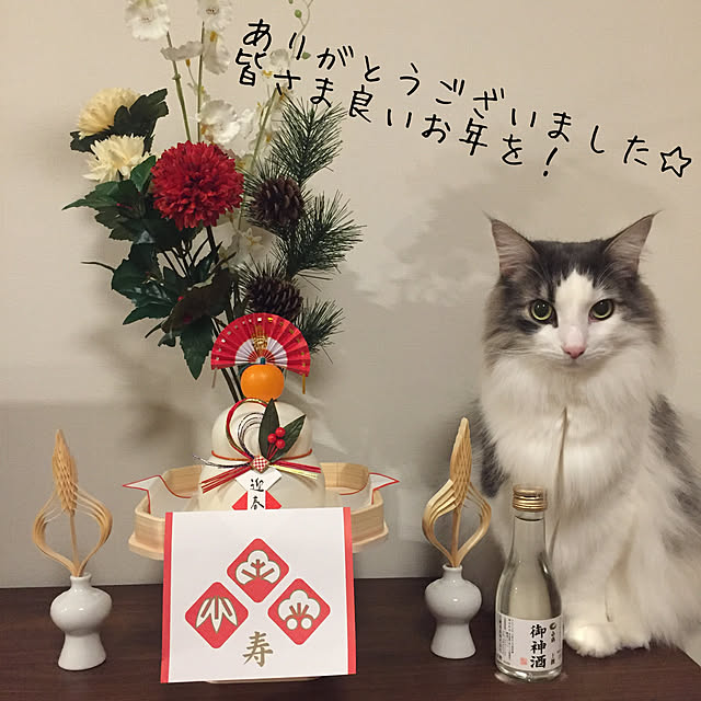 mofさんの実例写真