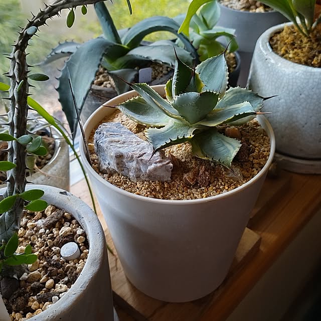 t.yumiさんの部屋