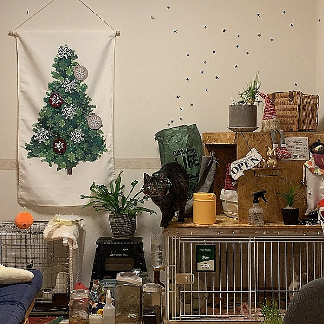 Ribbonさんの実例写真