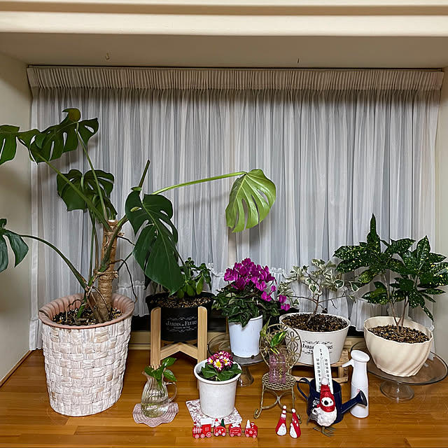 kakoさんの実例写真