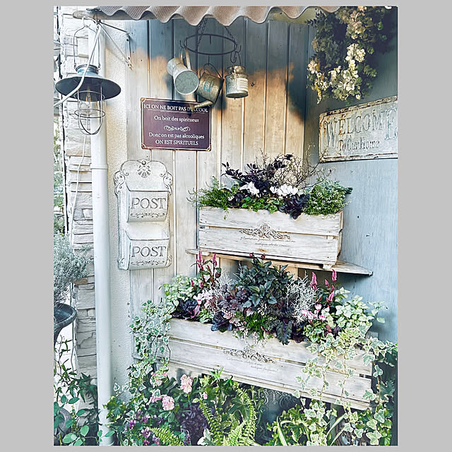 soraさんの実例写真