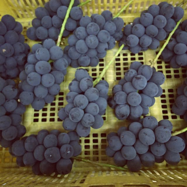 cherrycherryさんの実例写真