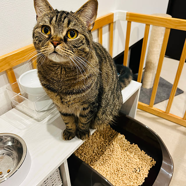 saeさんの部屋