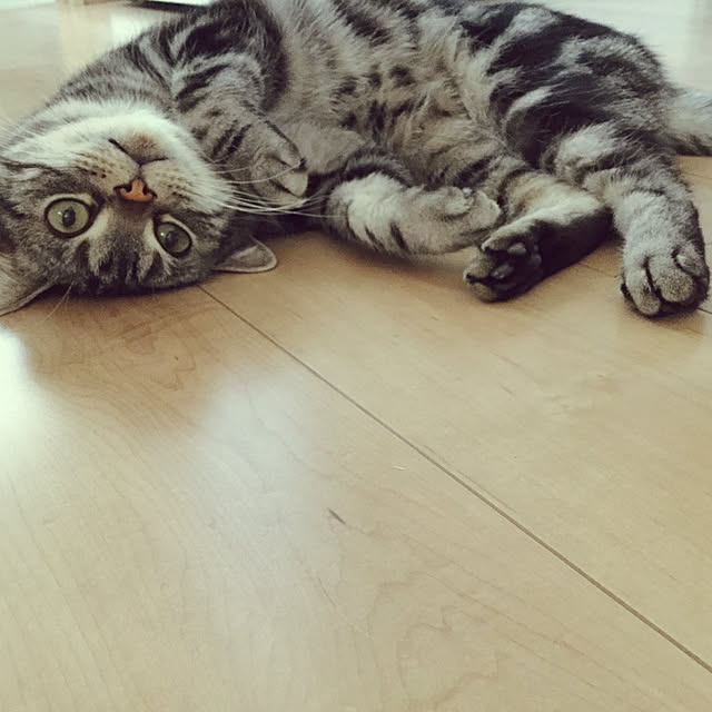 richanさんの実例写真