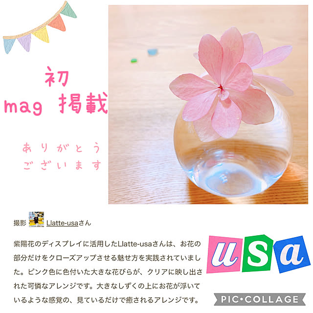Llatte-usaさんの実例写真