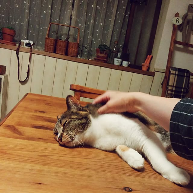 tomo1220さんの実例写真