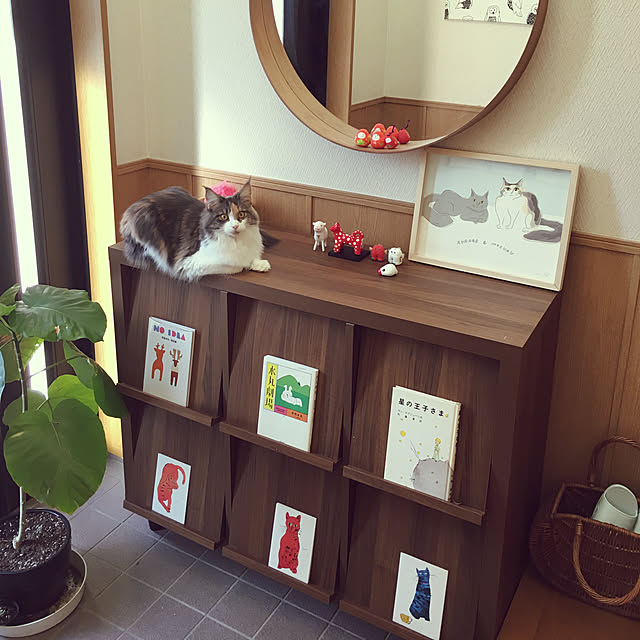 hanioさんの実例写真