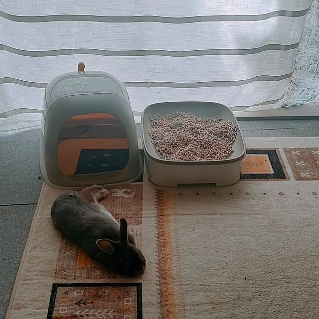 mori_6_12さんの実例写真