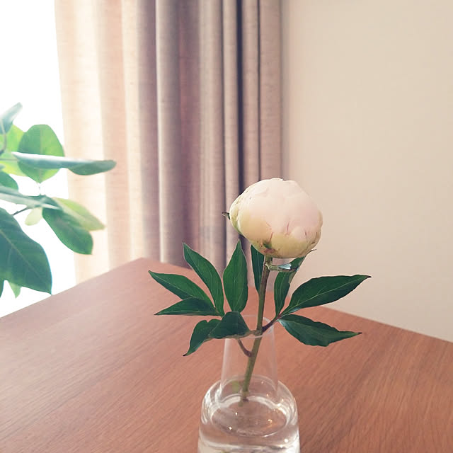chirococcoさんの実例写真