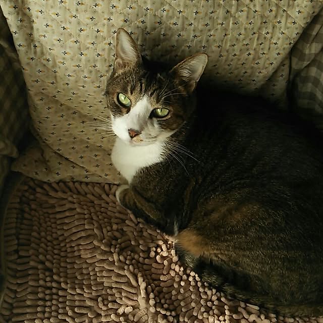 37さんの実例写真
