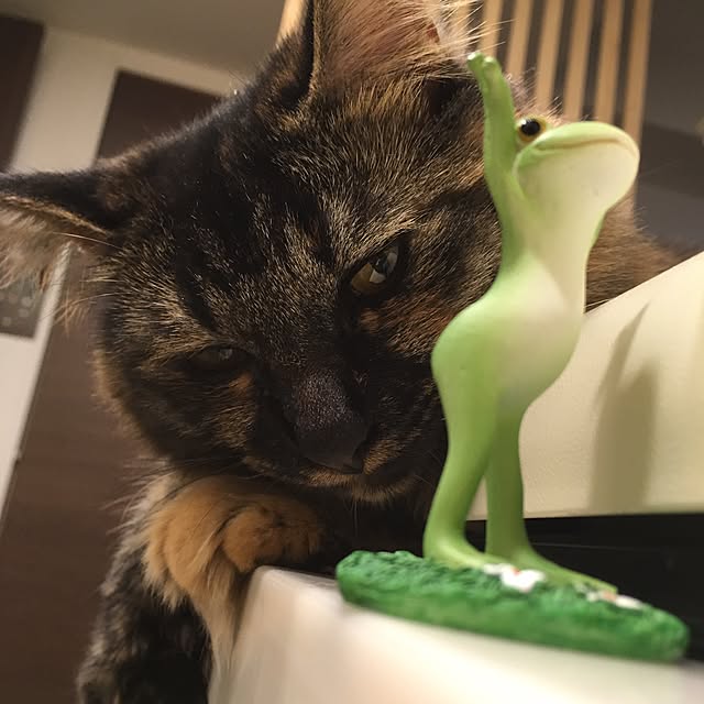 mikomaruさんの実例写真