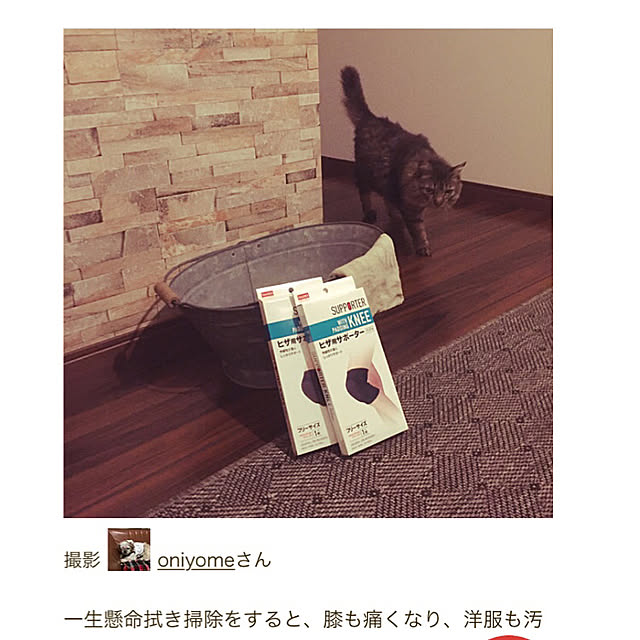 oniyomeさんの実例写真