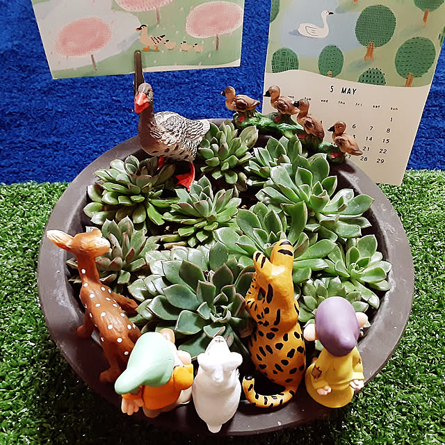 katさんの実例写真