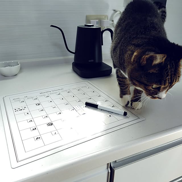 nachiさんの部屋