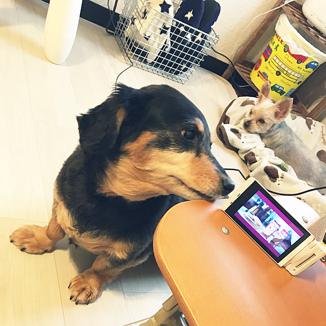 ohanaさんの実例写真