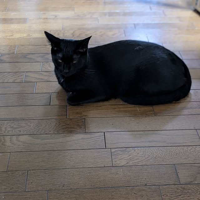 asaさんの部屋