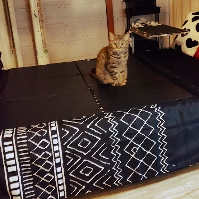 runaさんの部屋
