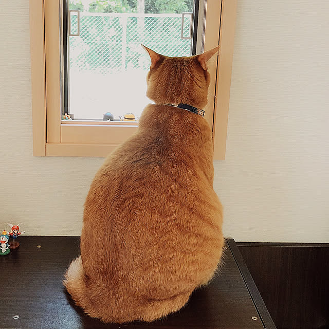 ochappuさんの実例写真