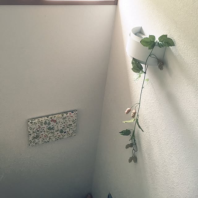 keeeikoooさんの実例写真