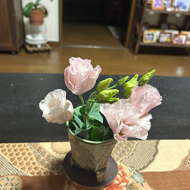ritsukoさんの部屋