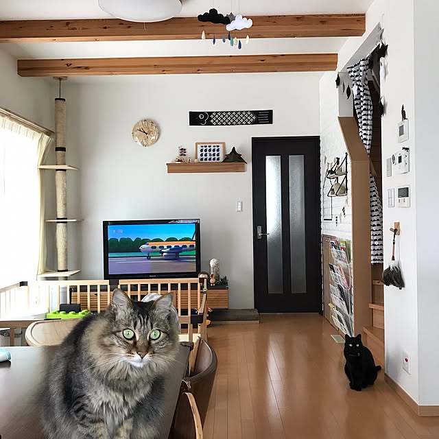 yuki0511さんの実例写真