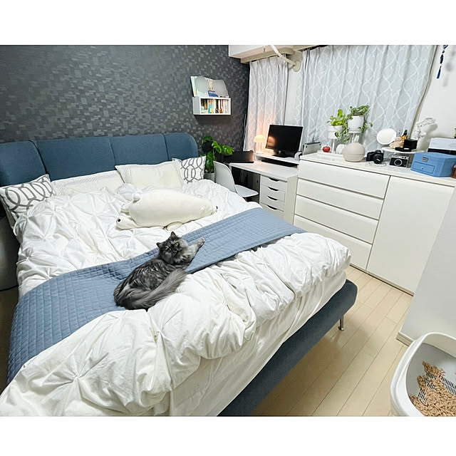 Niwacoさんの実例写真