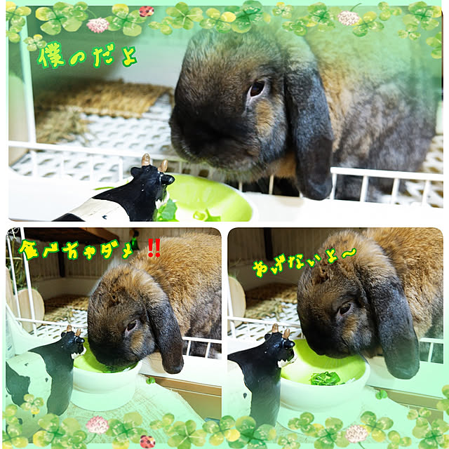 mariaさんの実例写真